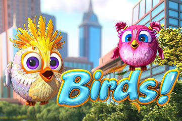 Birds!