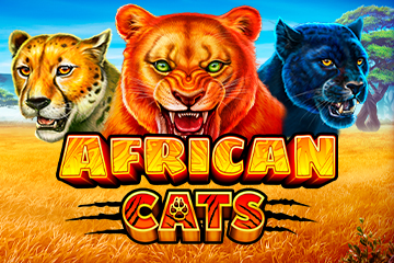 African Cats